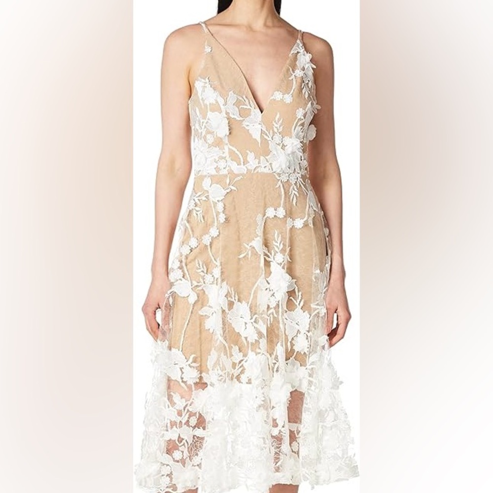 Population Dress